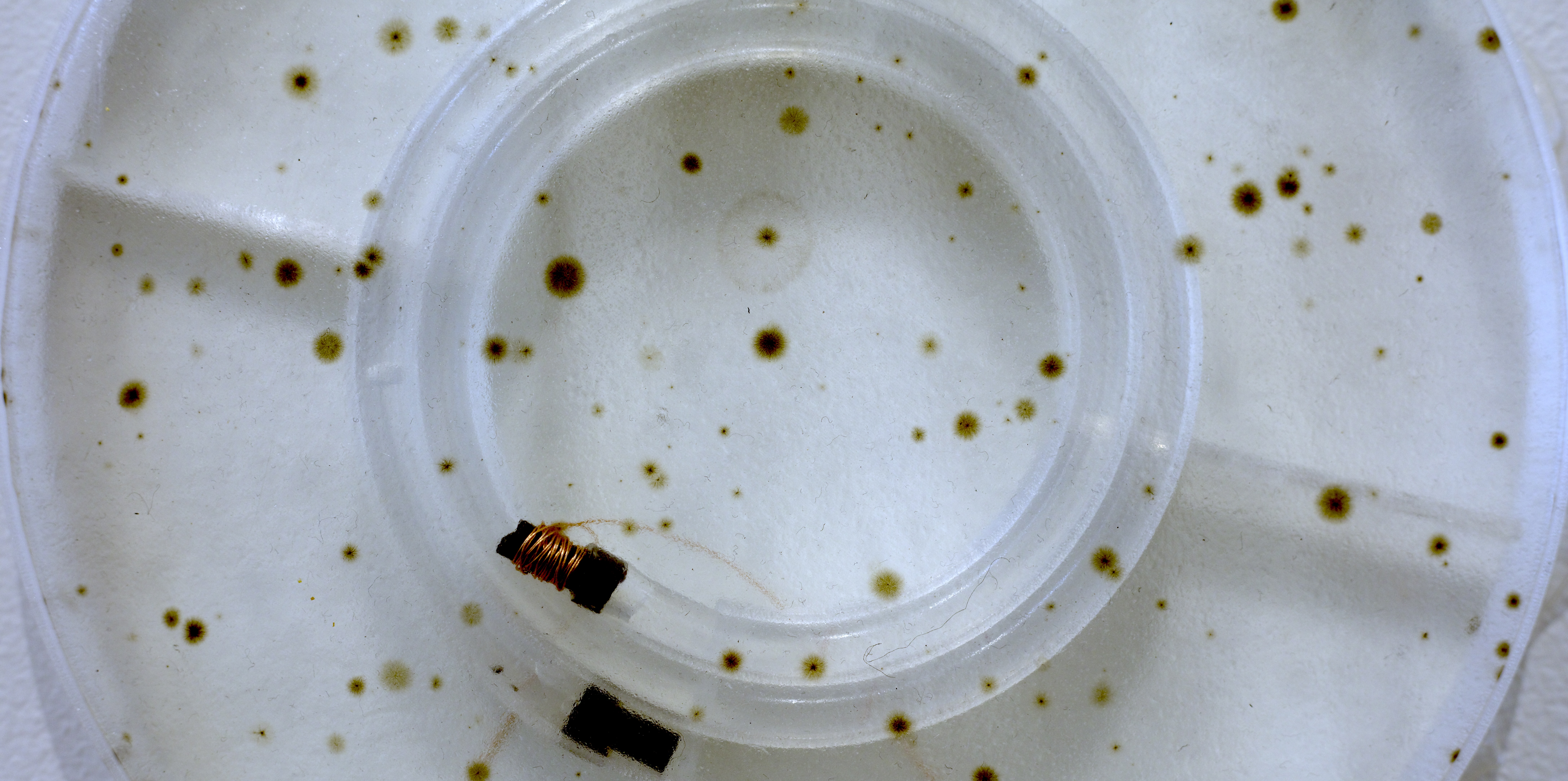 Free HTML5 Bootstrap Template by FreeHTML5.co