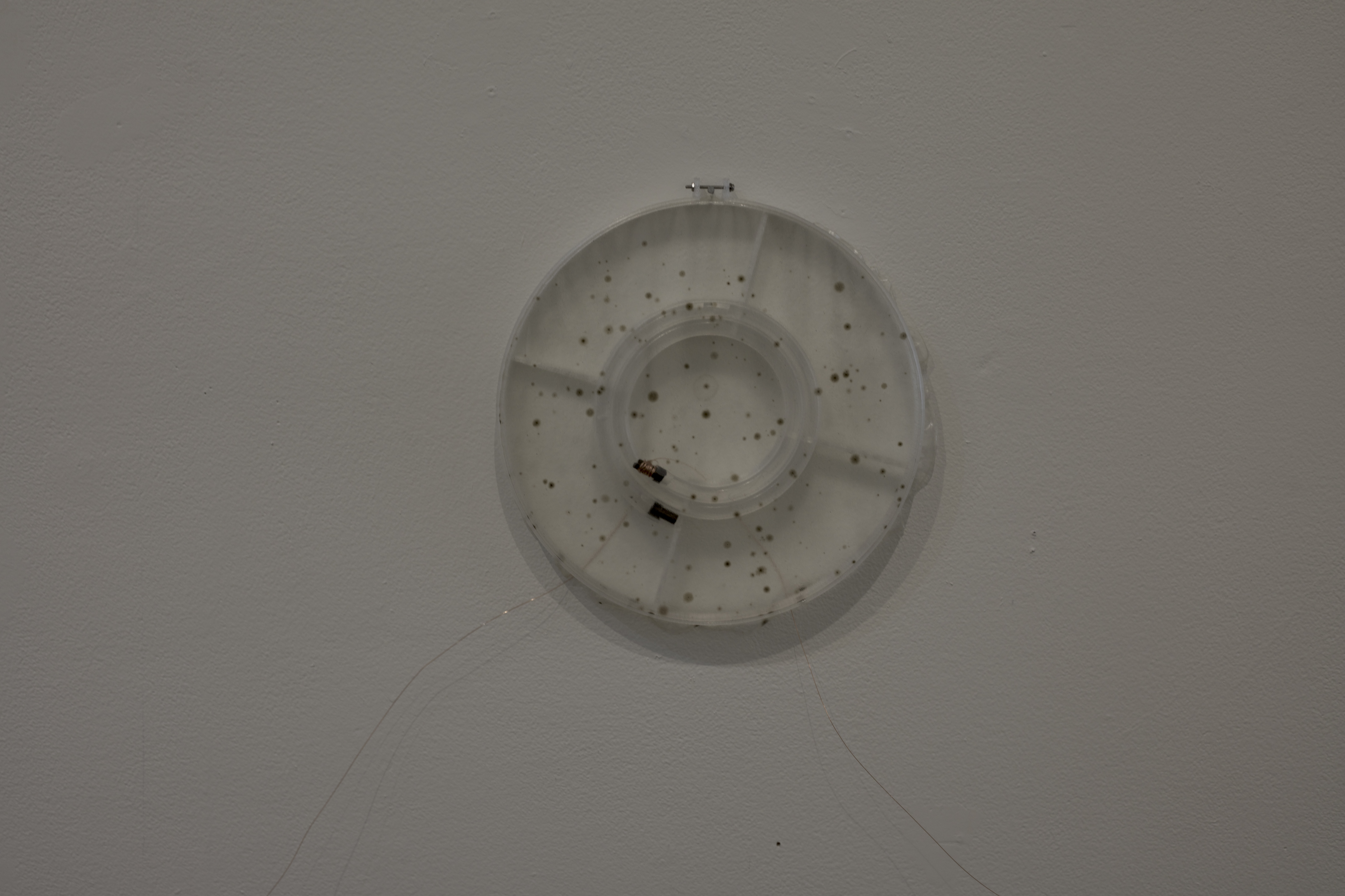 Free HTML5 Bootstrap Template by FreeHTML5.co